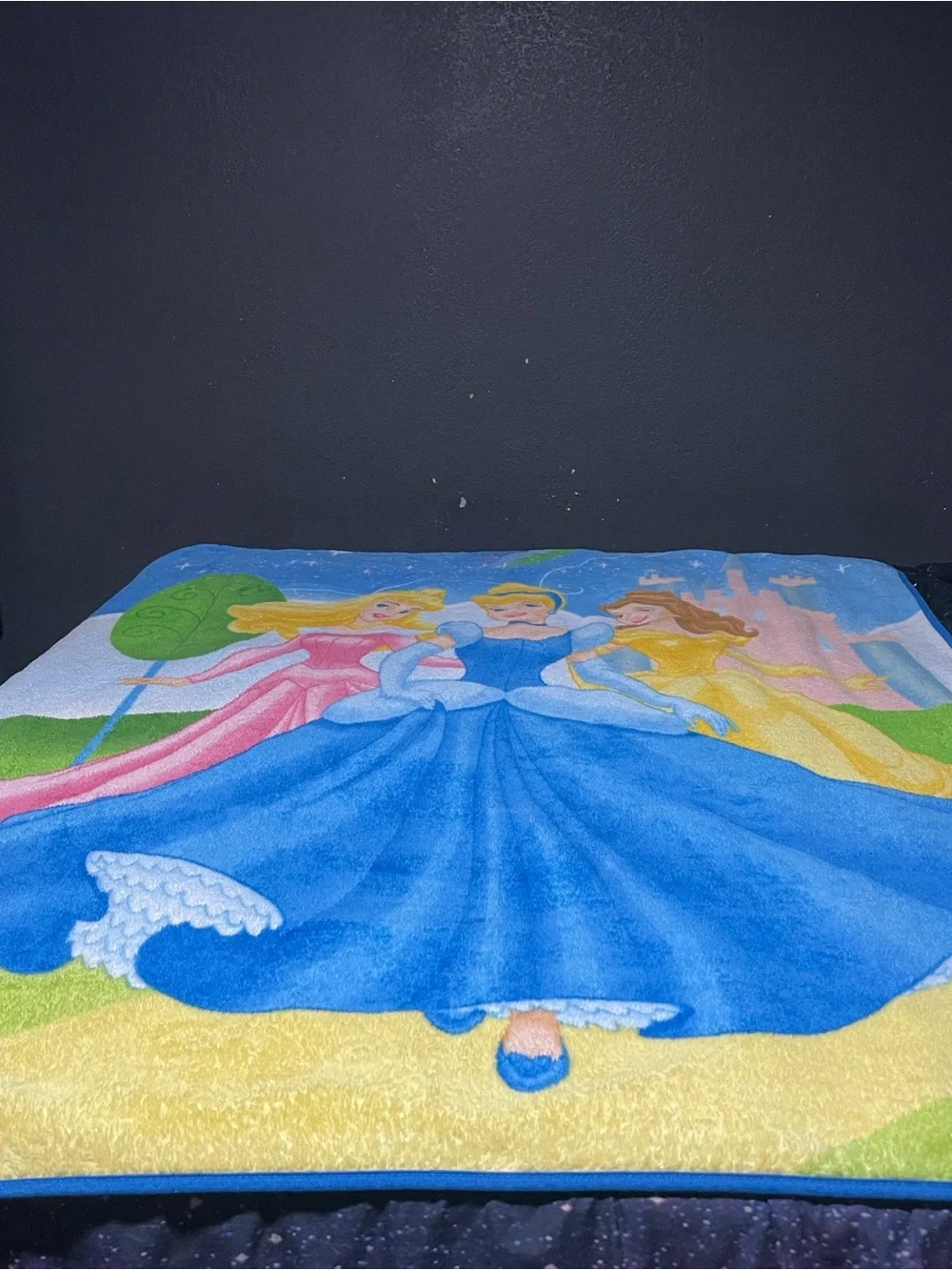 Vintage Disney Princess Fleece Blanket The Northwest Co Y2K